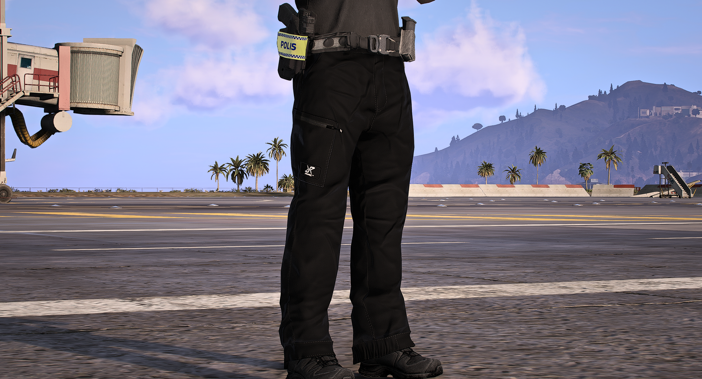 InsatsstyrkanV2