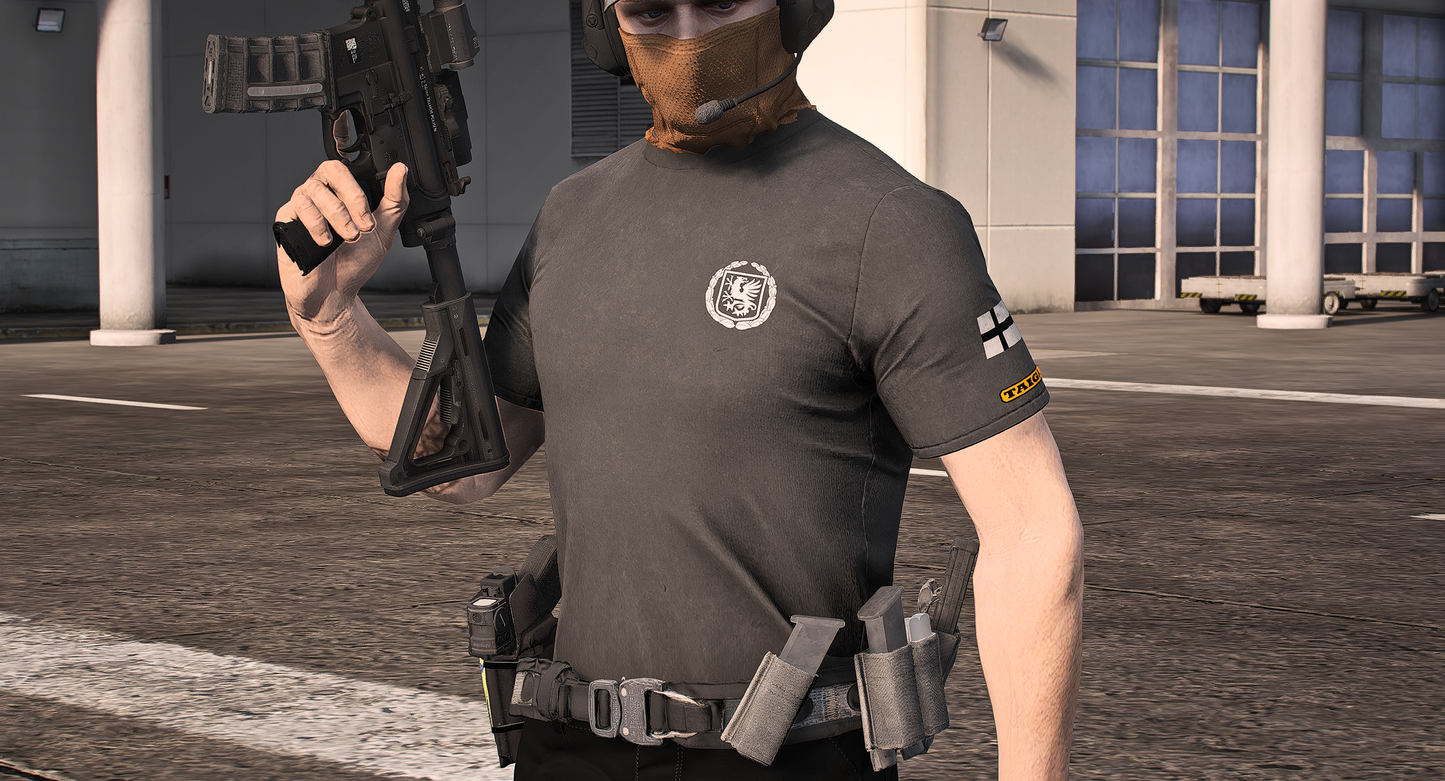 InsatsstyrkanV2