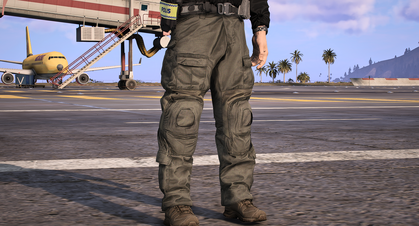 InsatsstyrkanV2