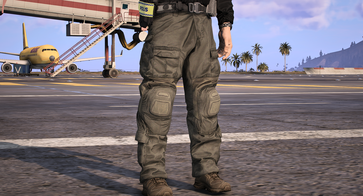 InsatsstyrkanV2